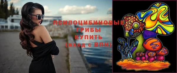 ПСИЛОЦИБИНОВЫЕ ГРИБЫ Богородицк