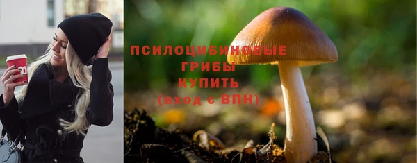 героин Богданович