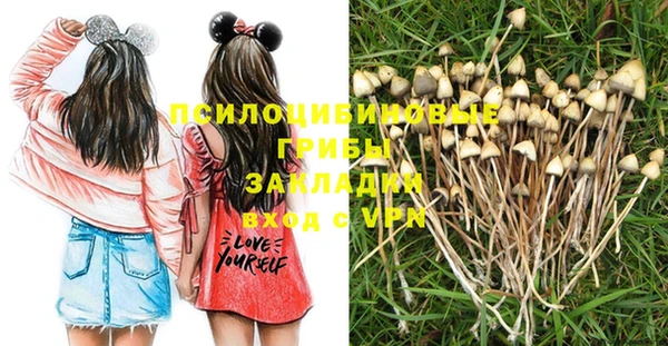 соль курить ск Богородск