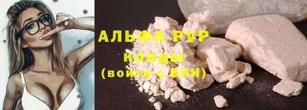 ПСИЛОЦИБИНОВЫЕ ГРИБЫ Богородицк