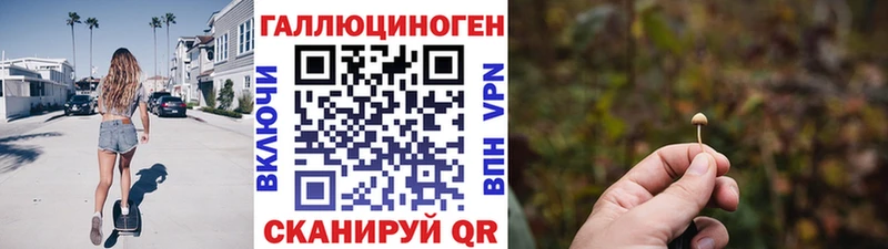 цена   Среднеуральск  Псилоцибиновые грибы мицелий 